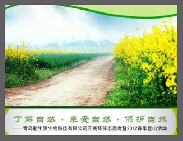这里是alt