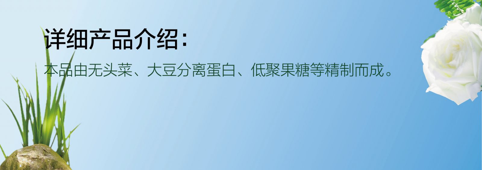 新生活_新生活集团_新生活化妆品_自然在线_植物固体饮料