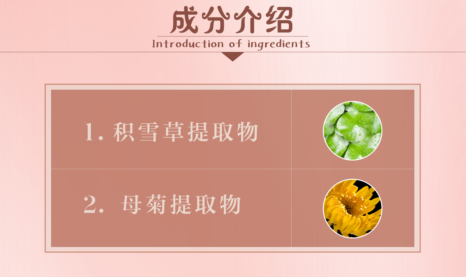 新生活_新生活集团_新生活化妆品_雪非雪_新颜_洗面奶