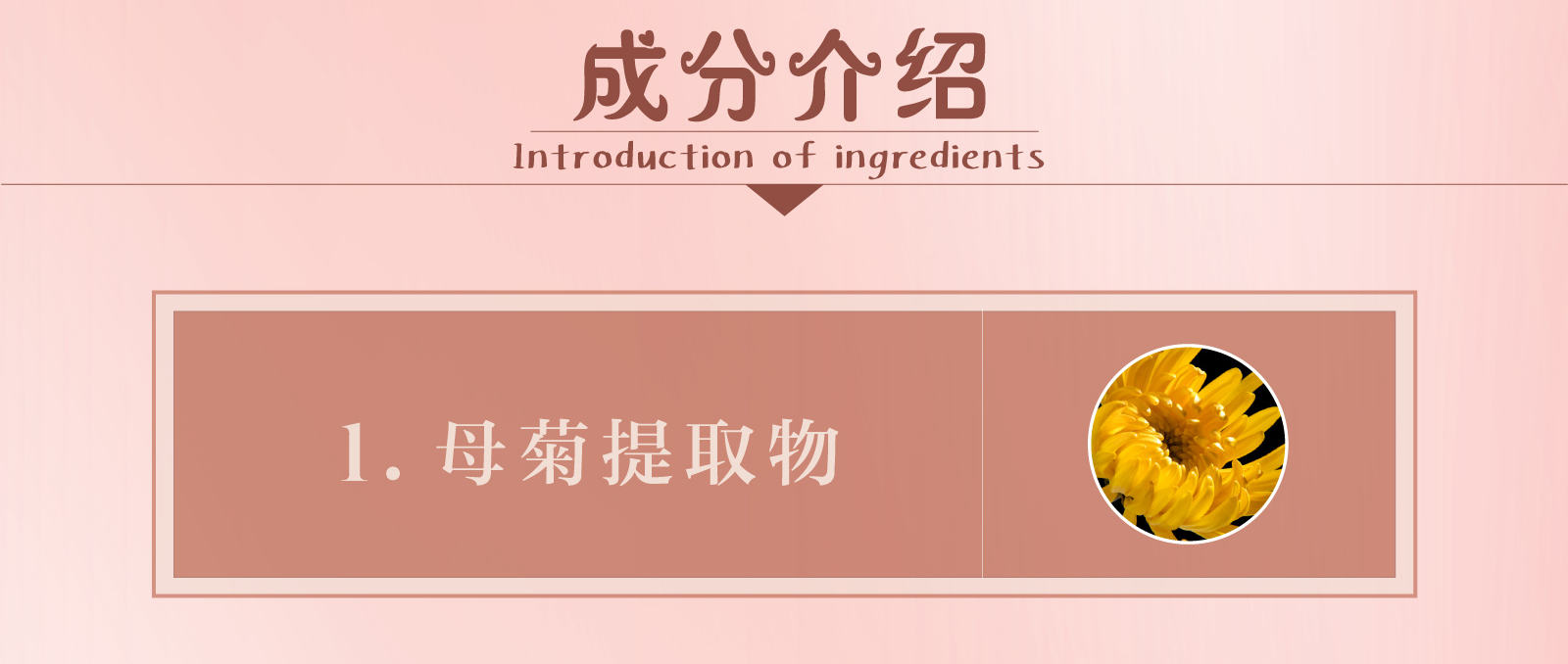 新生活_新生活集团_新生活化妆品_雪非雪_新颜_清洁霜