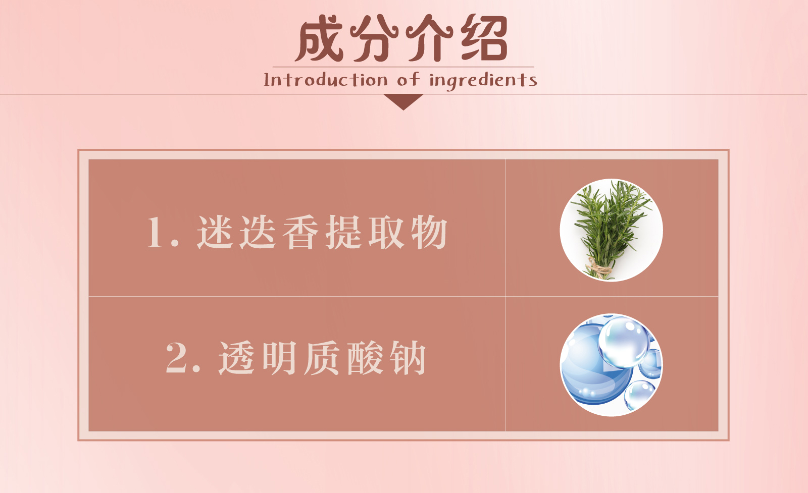 新生活_新生活集团_新生活化妆品_雪非雪_新颜_睡眠面膜