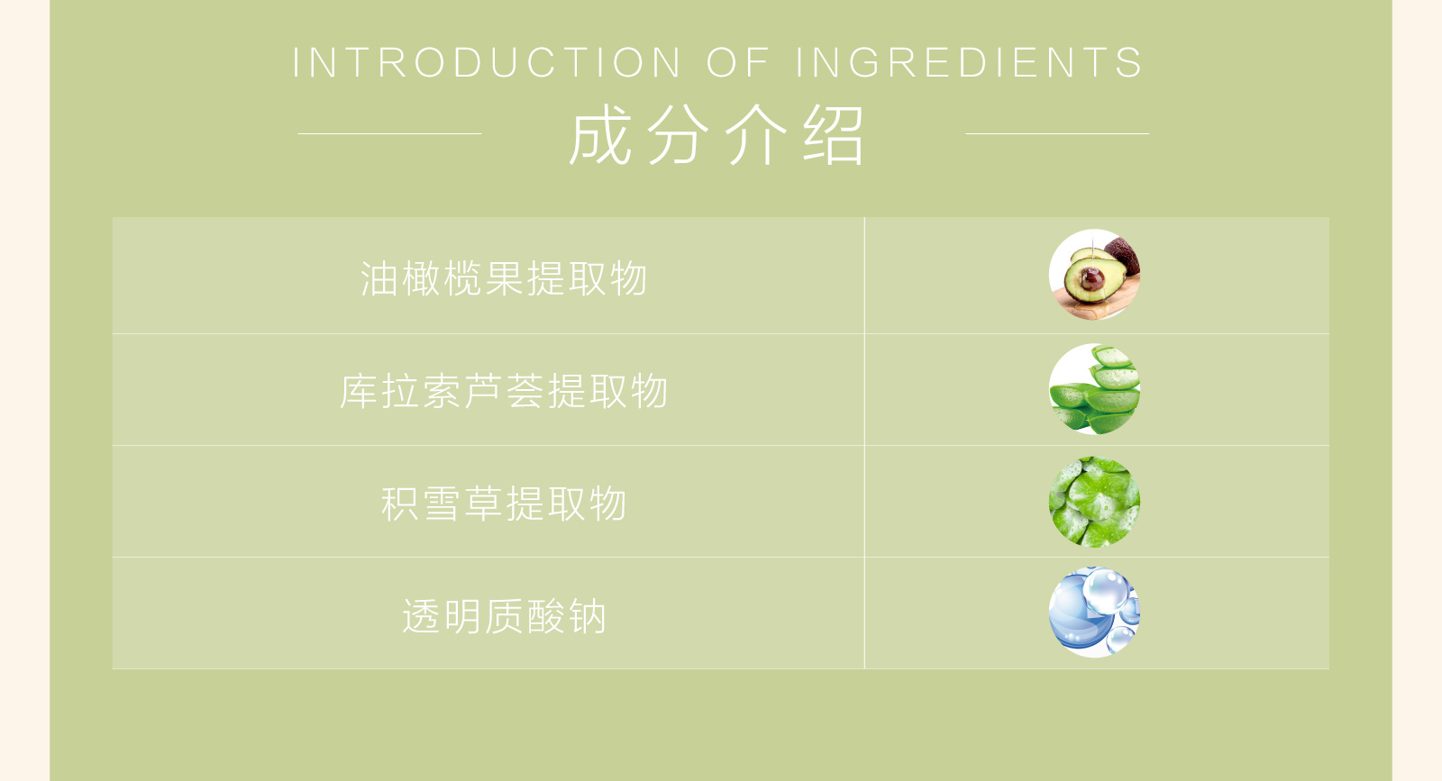 新生活_新生活集团_新生活化妆品_雪非雪_荟馨_新然_护肤系列